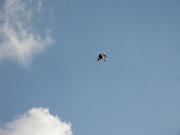 Horizon_Airmeet_2013_Set_2 097